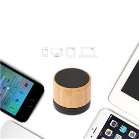 BT0019W Speaker